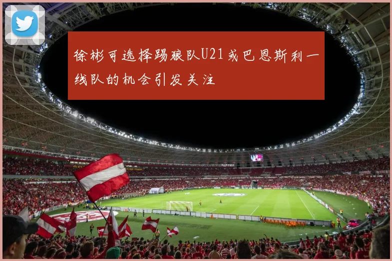 徐彬可选择踢狼队U21或巴恩斯利一线队的机会引发关注