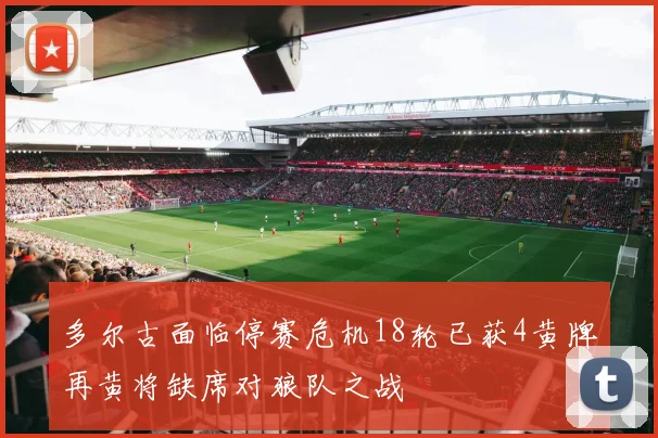 多尔古面临停赛危机18轮已获4黄牌再黄将缺席对狼队之战