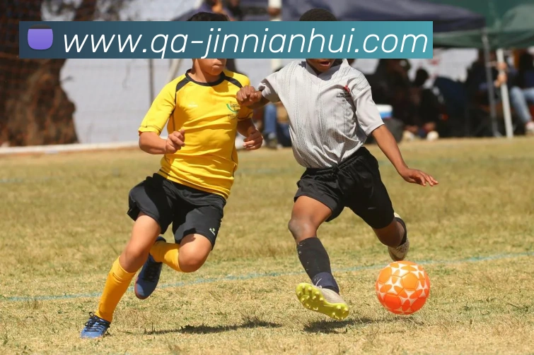 多媒体互动体验